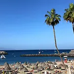 Dream View