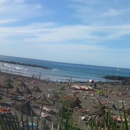 Dream View *