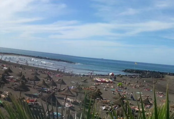 Dream View *